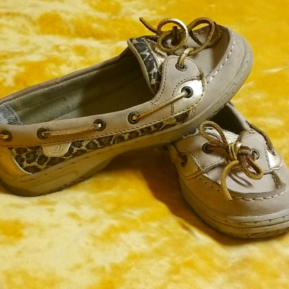 Angelfish Sperry's